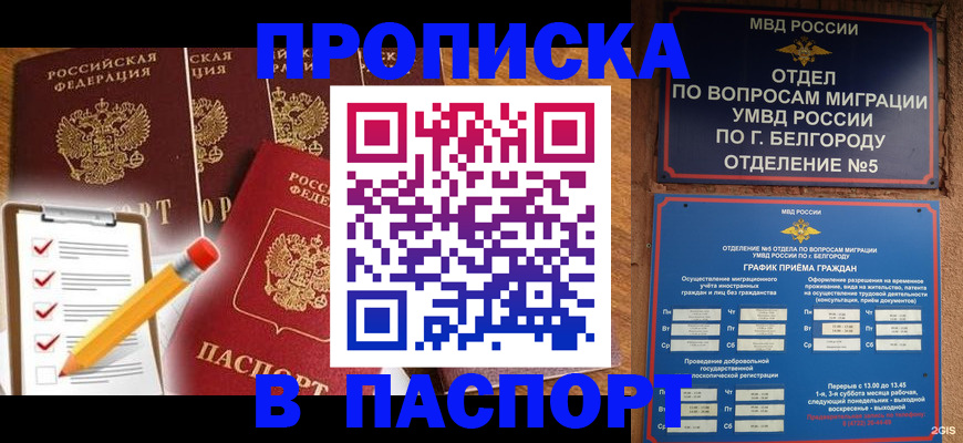 прописка 2025 в Сасово
